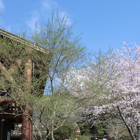 Lassy Condominium Kumamoto Exterior photo