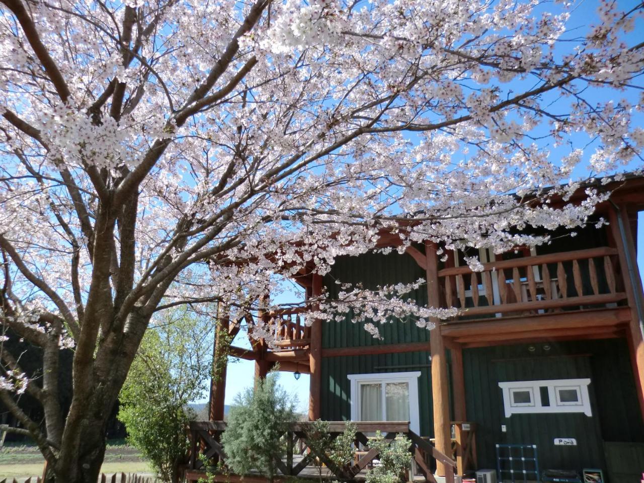 Lassy Condominium Kumamoto Exterior photo